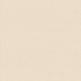 Gạch lát 30x30 Prime Evolution 05.300300.08521